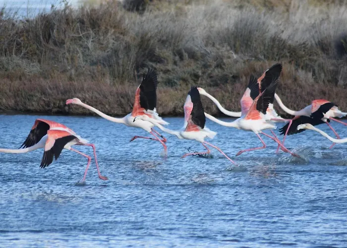 Residenza Al Castello Pensjonat